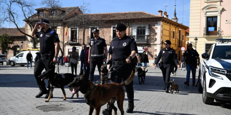 Fuente: Ayto Alcalá de Henares