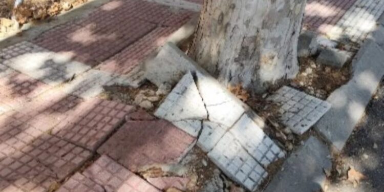 Fuente: RRSS Desidia Complutense