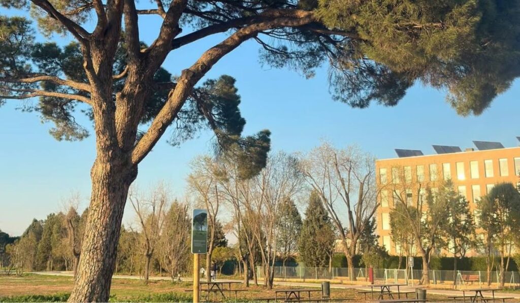 Nuevo parque