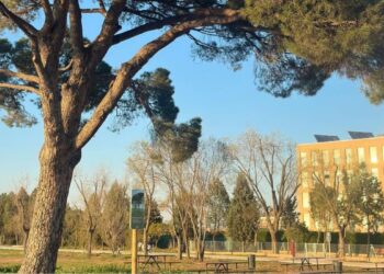 El nuevo parque de El Olivar abre al uso vecinal en la avenida de Pasionistas con zonas deportivas y de ocio