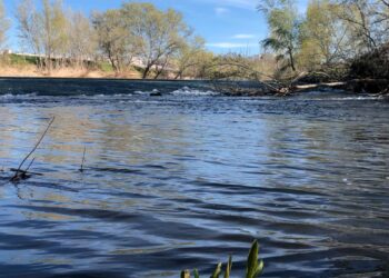 Una ruta guiada recorrerá el río Henares y los antiguos molinos el 15 de marzo para divulgar su valor ambiental e histórico
