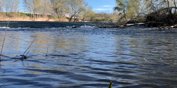 Fuente: Ayto Alcalá de Henares