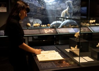 Los alumnos de la Escuela de Arte Alberto Corazón se forman en ilustración científica con piezas del MARPA