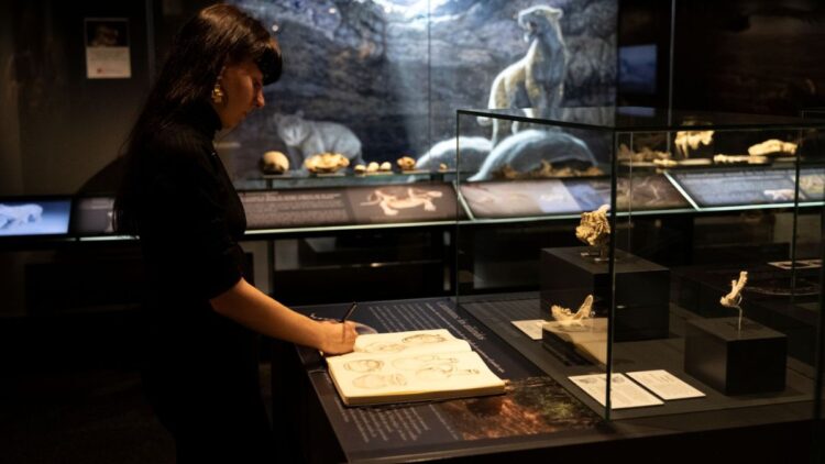 escuela de arte alberto corazon marpa