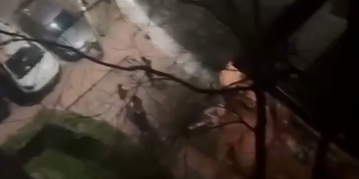 Una pelea frente a una vivienda ocupada despierta de madrugada a los vecinos de Los Gorriones 1 Imagen del vídeo difundido por Telemadrid