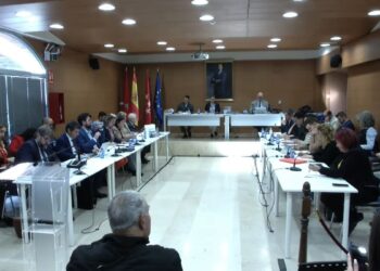 PP y Vox tumban en el Pleno tres mociones del PSOE sobre igualdad, educación especial y Policía Local