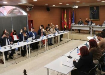 El Pleno de Alcalá aprueba una moción para reclamar al Gobierno una reforma penal contra la multirreincidencia