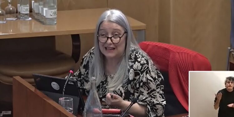 Alicia Torija, diputada de Más Madrid