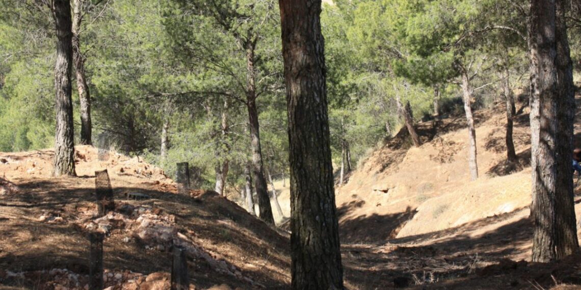 Fuente: Ayto Alcalá de Henares