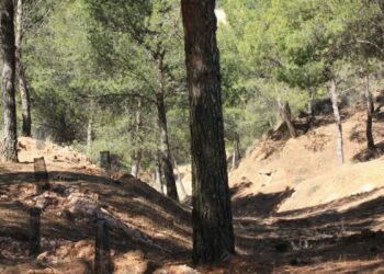 Ruta guiada por los Cerros para descubrir este domingo la naturaleza y la historia de Alcalá