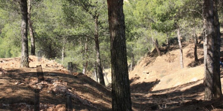 Fuente: Ayto Alcalá de Henares