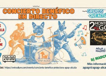 Apap Alcalá organiza un concierto solidario para ayudar al cuidado de más de 120 perros abandonados