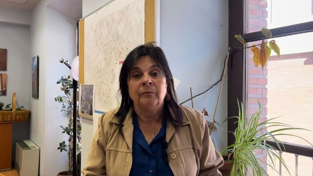 Cristina Alcaniz