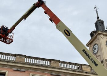 Trasladado un nido de cigüeña de la Casa Consistorial para evitar molestias durante el periodo de cría