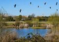Un taller infantil sobre aves migratorias acerca la biodiversidad local el 9 de mayo en la Casita O’Donnell