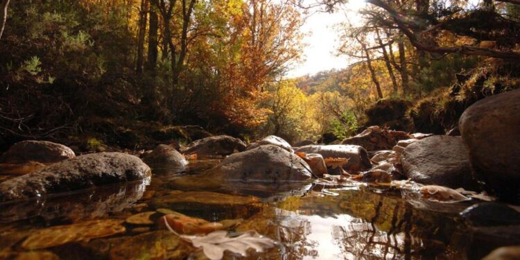 Fuente: Comunidad de Madrid
