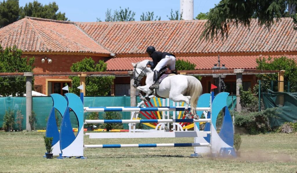 Hipica