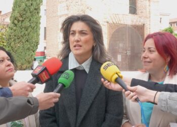 Manuela Bergerot exige en Alcalá a Ayuso “hasta el último dato” del coste de su viaje a México