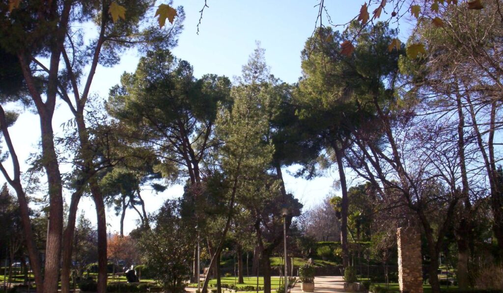 Alcalá renovará 14 parques con más arbolado, zonas infantiles, caminos accesibles y nuevos espacios verdes 1 Parque Odonell