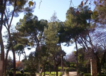 Alcalá renovará 14 parques con más arbolado, zonas infantiles, caminos accesibles y nuevos espacios verdes