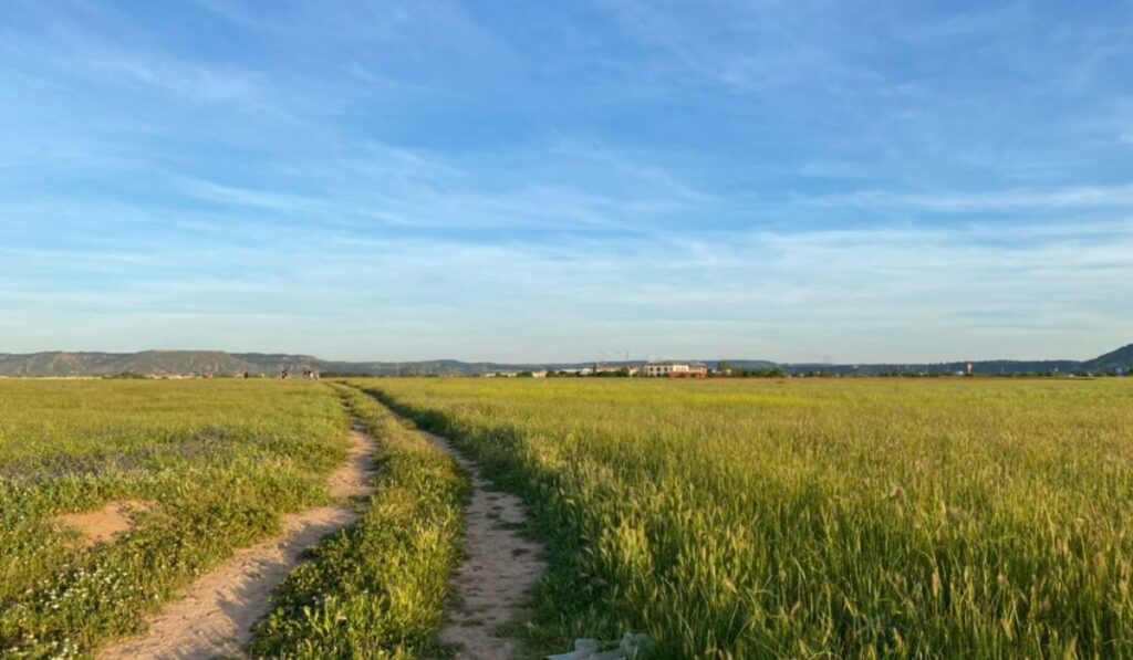 Via pecuaria