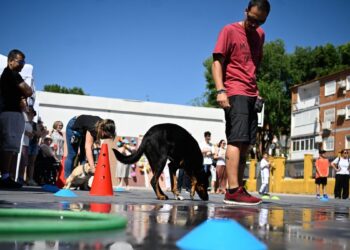 APHISA celebra medio siglo de apoyo a las personas con discapacidad intelectual y sus familias 3 APHISA celebra medio siglo de apoyo a las personas con discapacidad intelectual y sus familias
