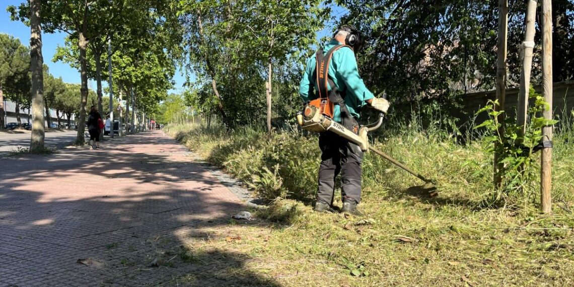 El Ayuntamiento de Alcalá refuerza el desbroce en toda la ciudad tras el aumento de vegetación por las lluvias de primavera 1 Foto: Ayuntamiento de Alcalá