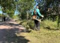 El Ayuntamiento de Alcalá refuerza el desbroce en toda la ciudad tras el aumento de vegetación por las lluvias de primavera