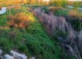 El Gran Parque de Espartales cumple diez años como eje verde y espacio de uso vecinal en Alcalá