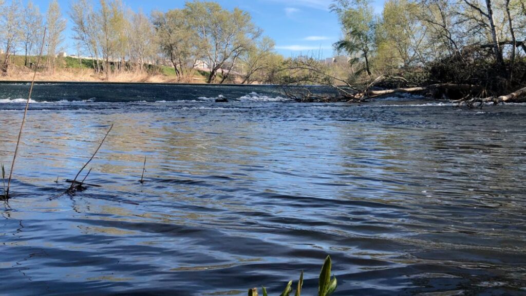 ruta ecofluvial