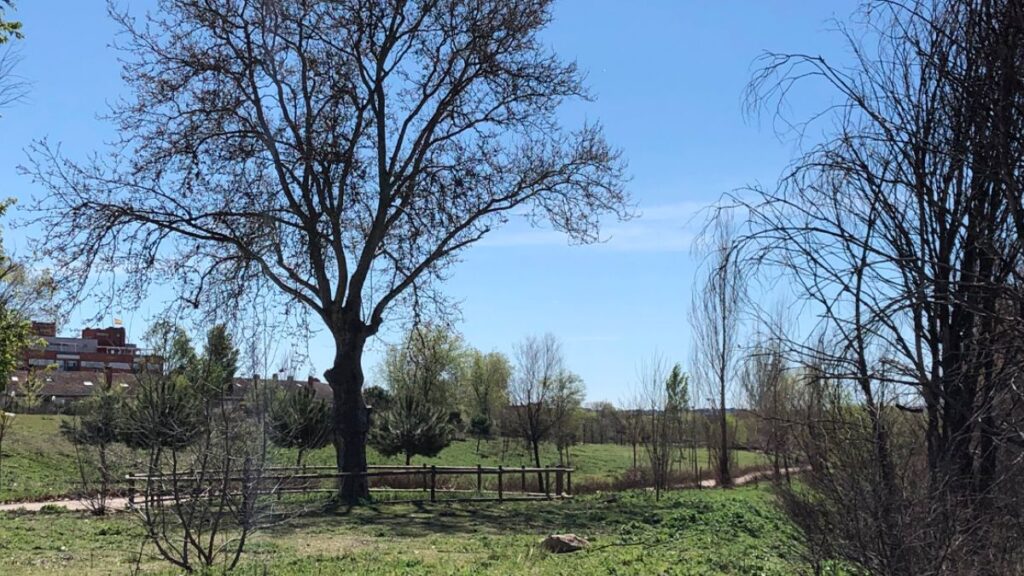 ruta principales parques