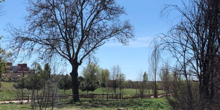 Foto: Ayuntamiento de Alcalá