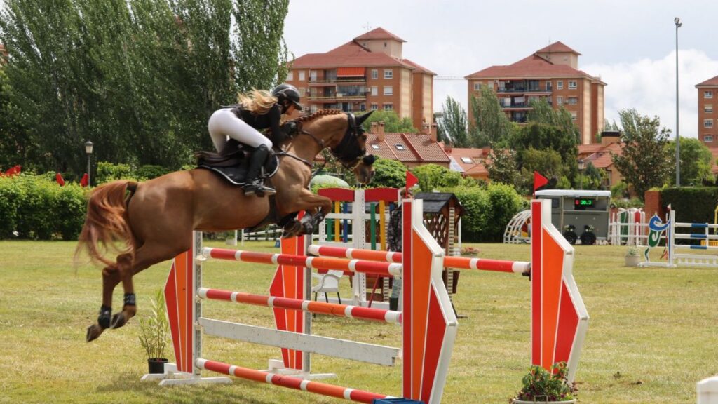 trofeo hipica militar