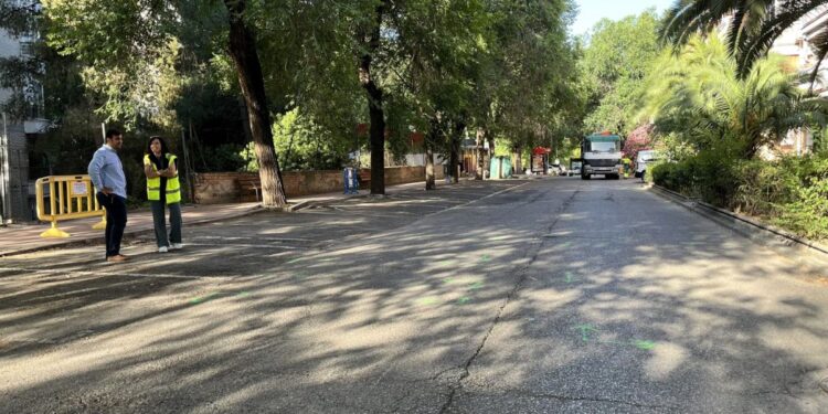 Fuente: Ayto de Alcalá de Henares