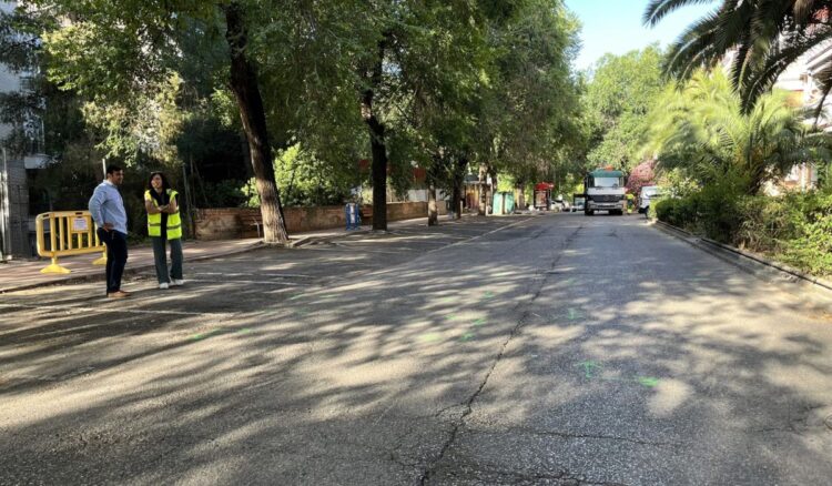 Calle Alarpardo 1
