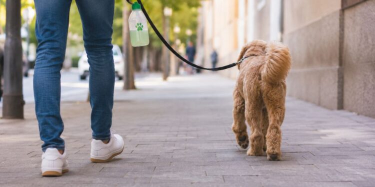 El Ayuntamiento recuerda la obligación de limpiar con agua las micciones de los perros en la vía pública 1 Fuente: Imagen elaborada con IA. Elaboración propia