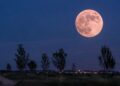 Alcalá Verde organiza una jornada de riego y observación de la Luna de Fresa en el Anillo Verde