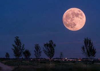 Alcalá Verde organiza una jornada de riego y observación de la Luna de Fresa en el Anillo Verde