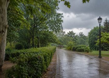 Por qué el olor de lluvia nos resulta tan reconocible y qué lo provoca realmente