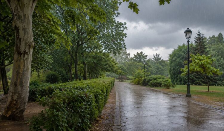 Olor a lluvia