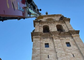 Los bomberos rescatan una cigüeña atrapada en un saliente a varios metros de su nido