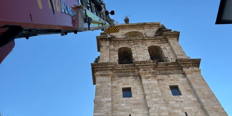 Los bomberos rescatan una cigüeña atrapada en un saliente a varios metros de su nido 1 Fuente: Bomberos Alcalá