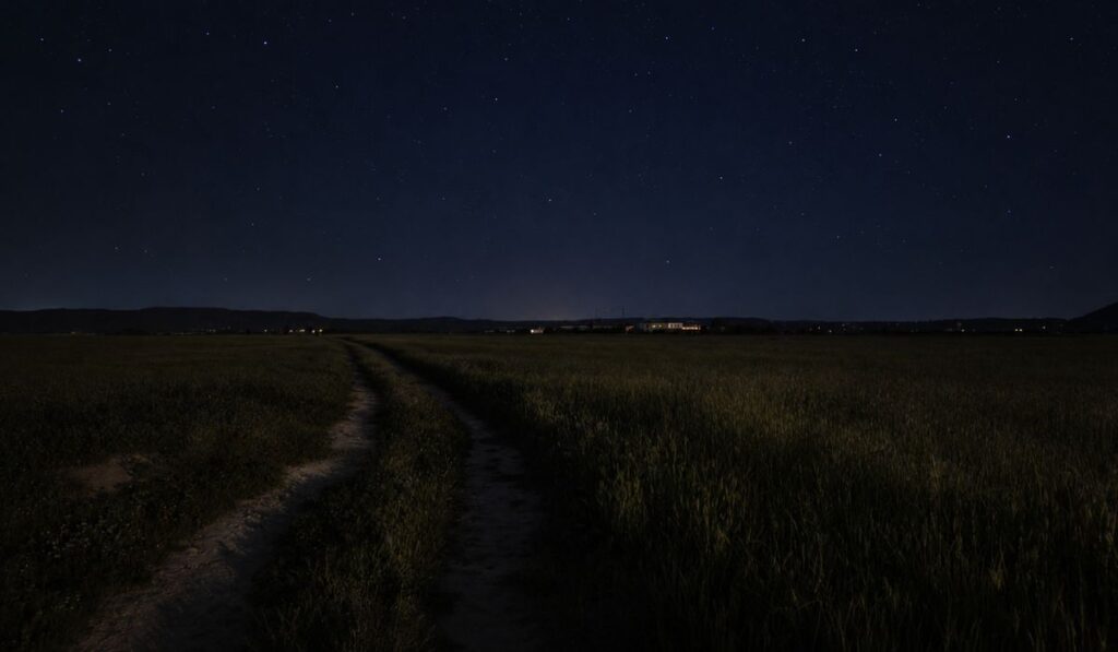 Ruta nocturna