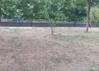 Preocupación vecinal por el deterioro del césped y el arbolado en la avenida Gustavo Adolfo Bécquer en Espartales
