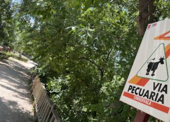 El proyecto para recuperar el arroyo Camarmilla avanza con la licitación de las obras de rehabilitación integral