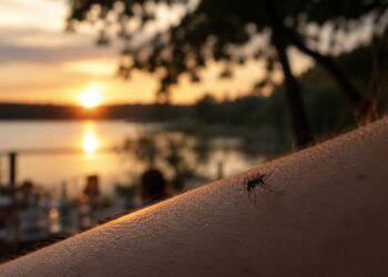 La señal que emite tu cuerpo y que puede convertirte en imán para los mosquitos 3 La señal que emite tu cuerpo y que puede convertirte en imán para los mosquitos