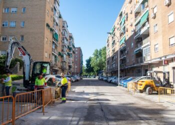 El Paseo de la Alameda renueva su asfaltado y mejora sus pasos de peatones y plazas accesibles