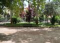 Los rincones con sombra de Alcalá para pasear cuando el calor deja poco margen