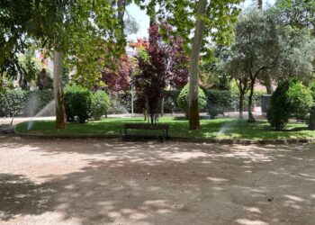 Los rincones con sombra de Alcalá para pasear cuando el calor deja poco margen