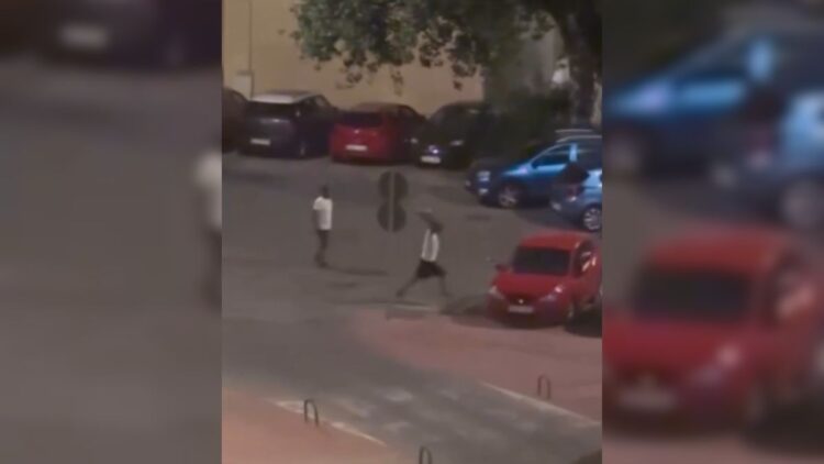vandalismo nueva alcala